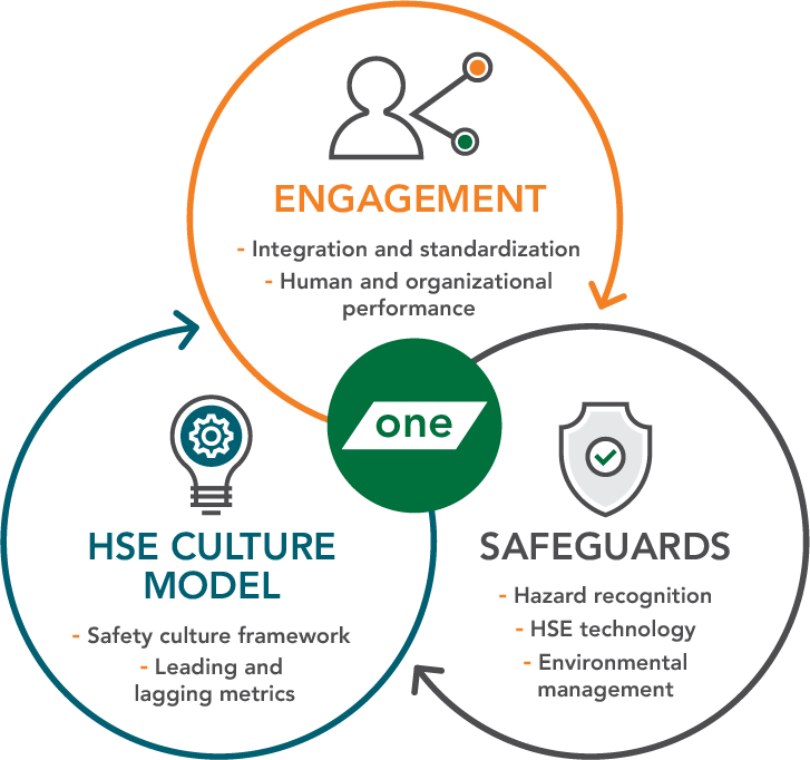 bird_hse-trifecta_infographic_web